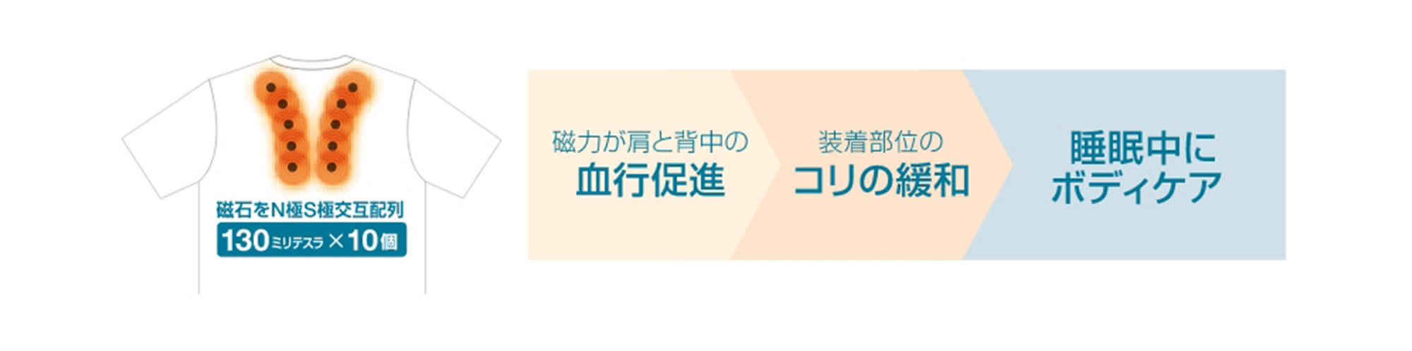 磁石をN極S極交互配列130ミリテスラ×10個